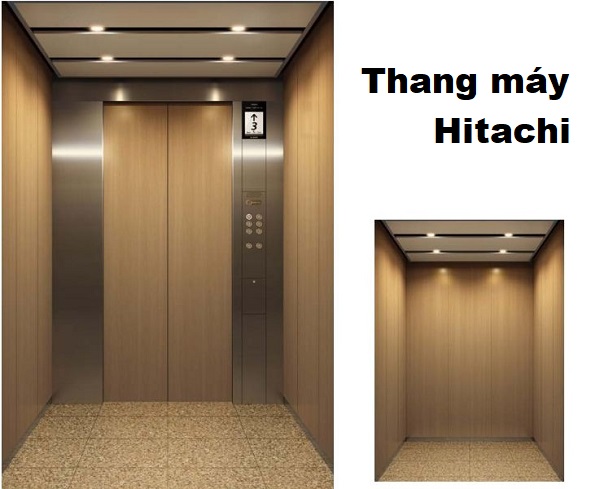 thang máy phổ biến nhất