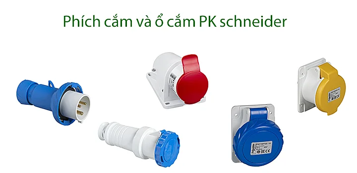 Phich-cam-va-o-cam-PK-schneider