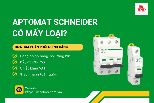  Aptomat Schneider có mấy loại?