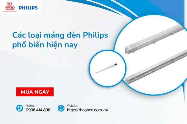  Các loại máng đèn Philips phổ biến hiện nay