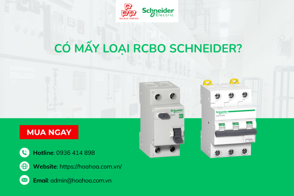  Có mấy loại RCBO Schneider?